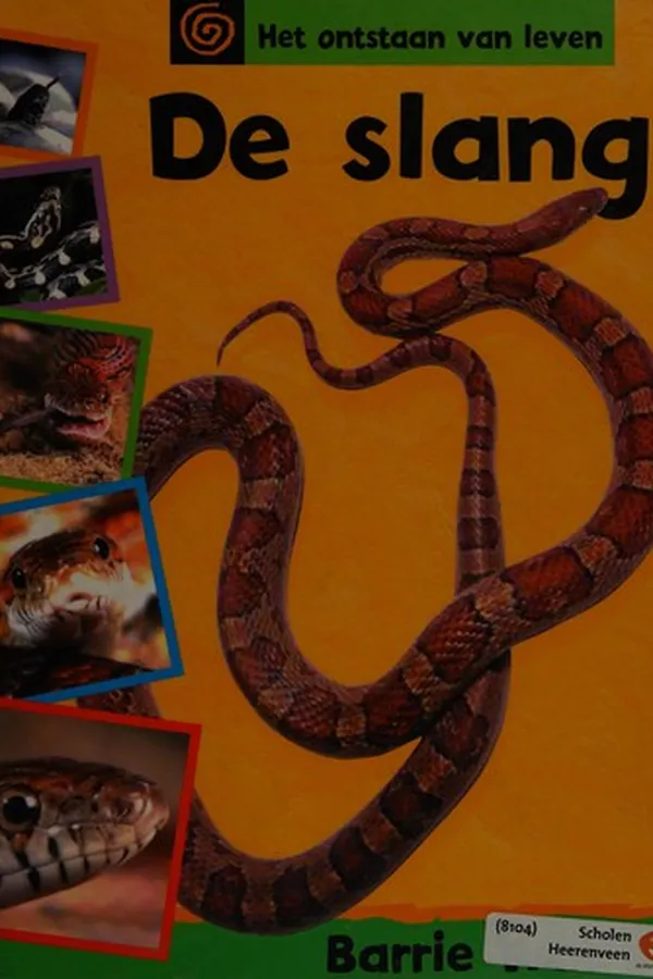 Capa de De slang