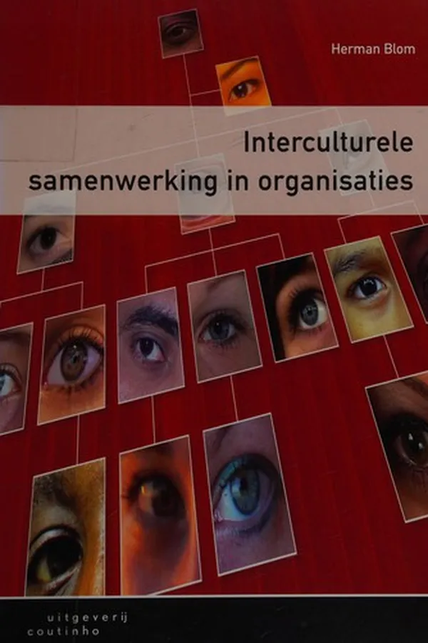 Capa de Interculturele samenwerking in organisaties