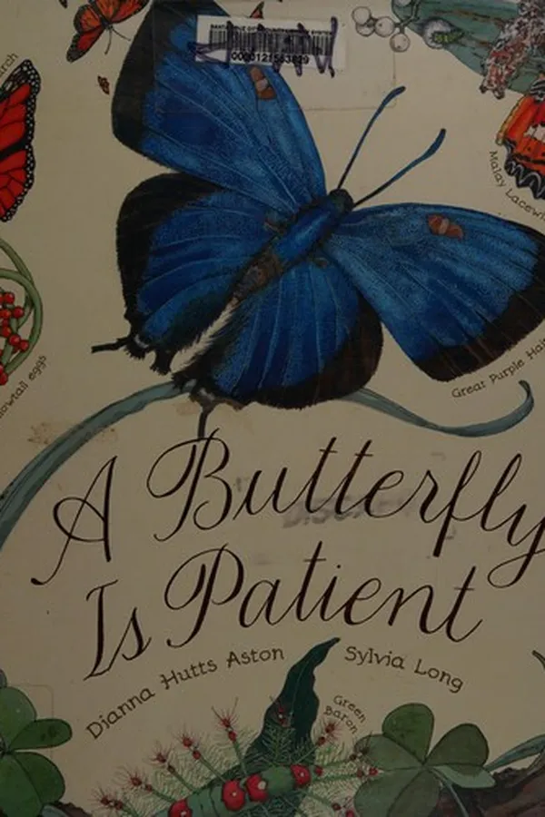 Capa de A butterfly is patient