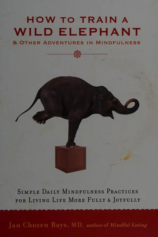 Cover of How to train a wild elephant