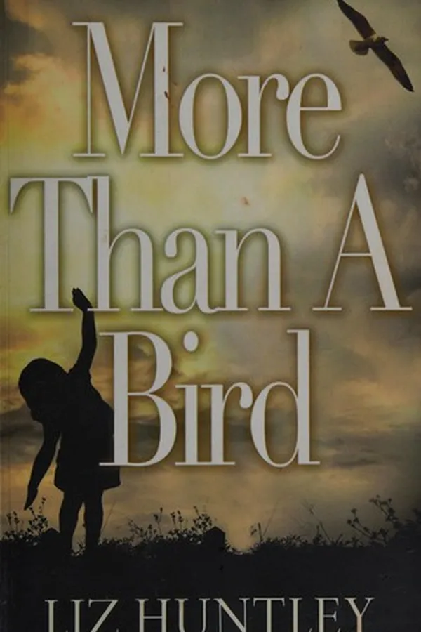 Capa de More than a bird