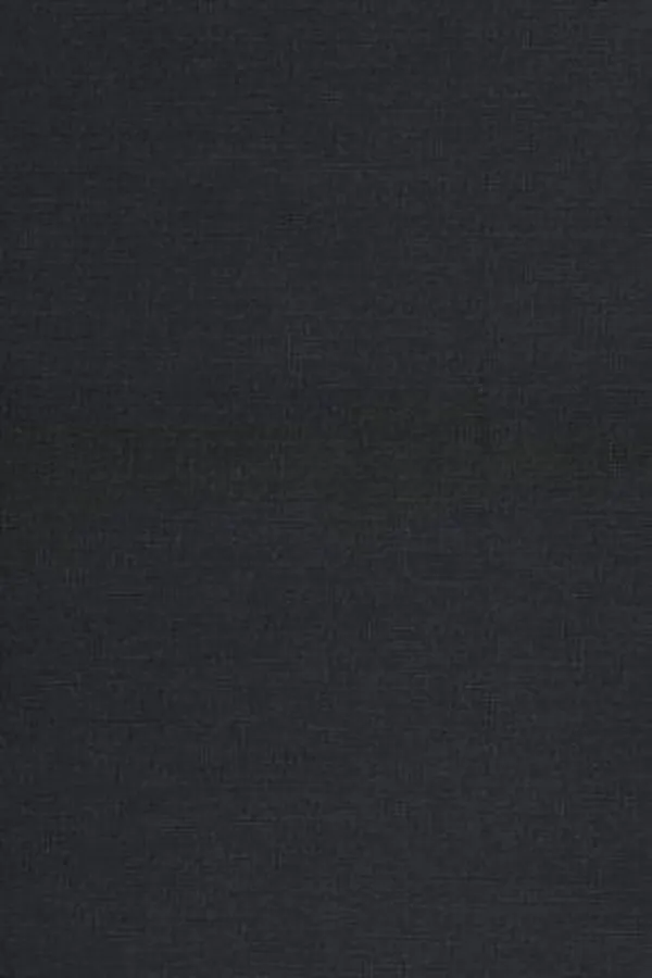 Capa de The authentic Shakespeare, and other problems of the early modern stage