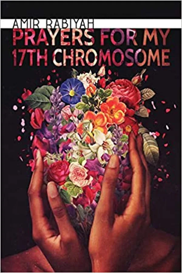 Capa de Prayers for my 17th chromosome