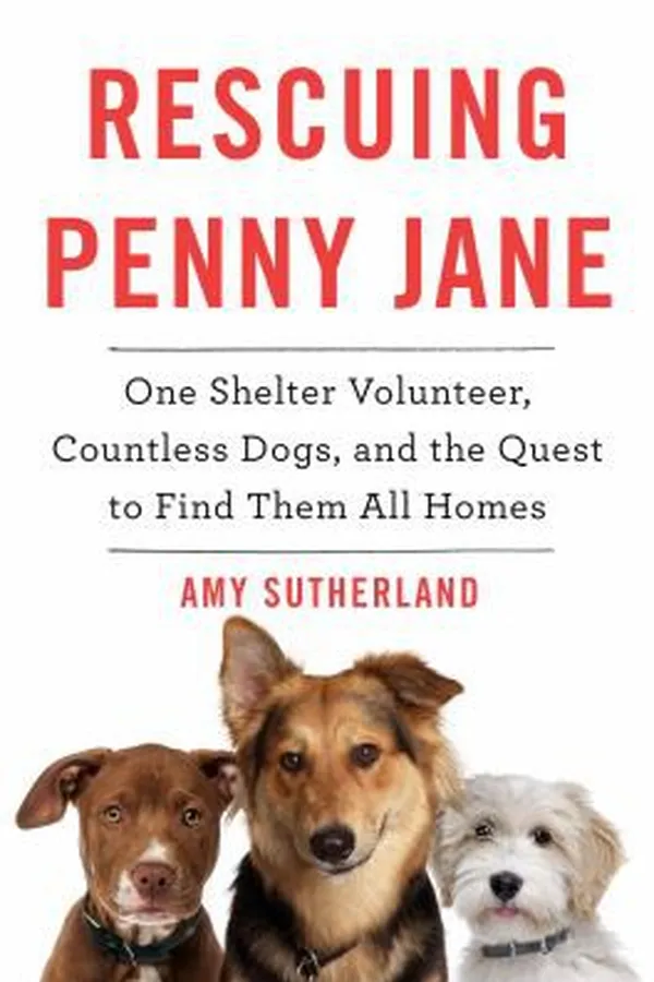 Cover of Rescuing Penny Jane