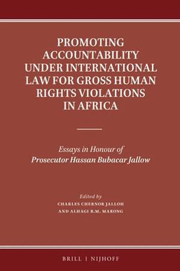 Capa de Promoting accountability under international law for gross human rights violations in Africa