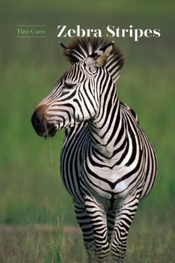 Capa de Zebra stripes