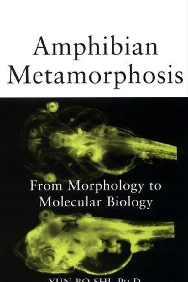 Capa de Amphibian Metamorphosis