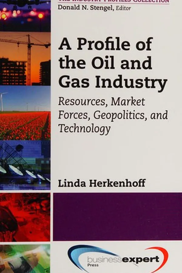 Capa de A profile of the oil and gas industry