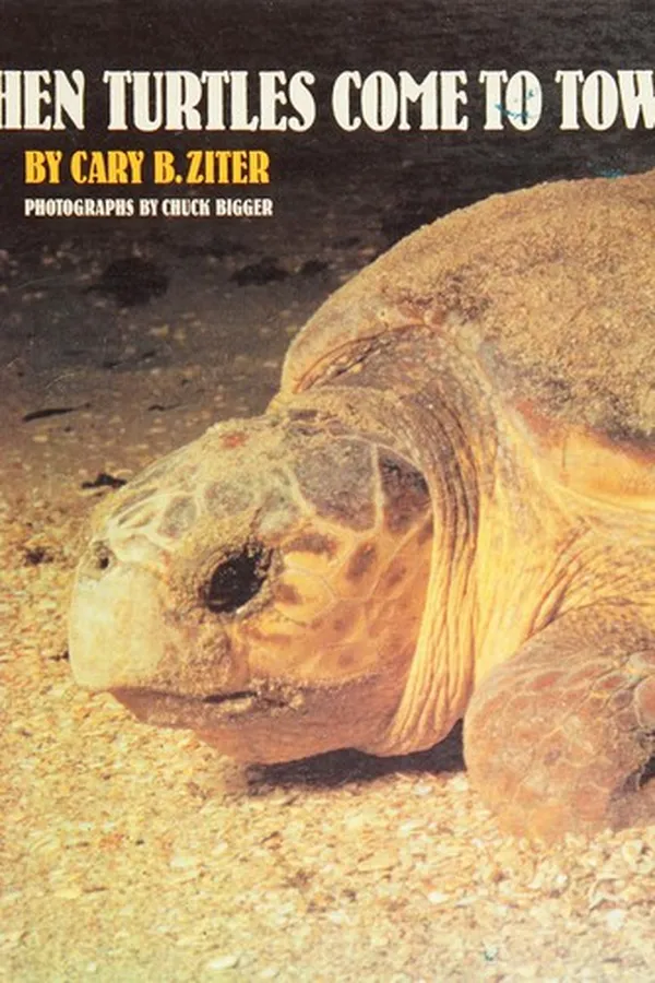 Capa de When turtles come to town