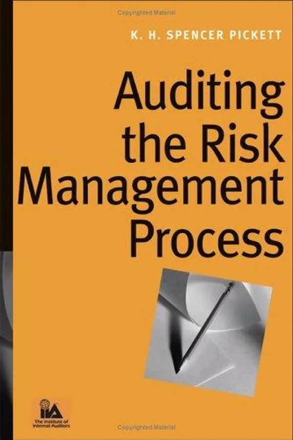 Capa de Auditing the Risk Management Process