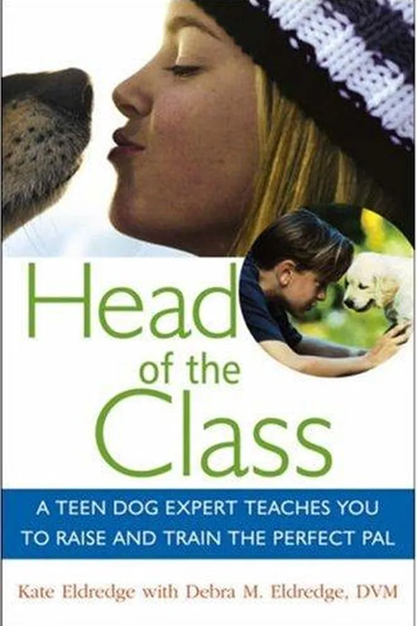 Capa de Head of the Class