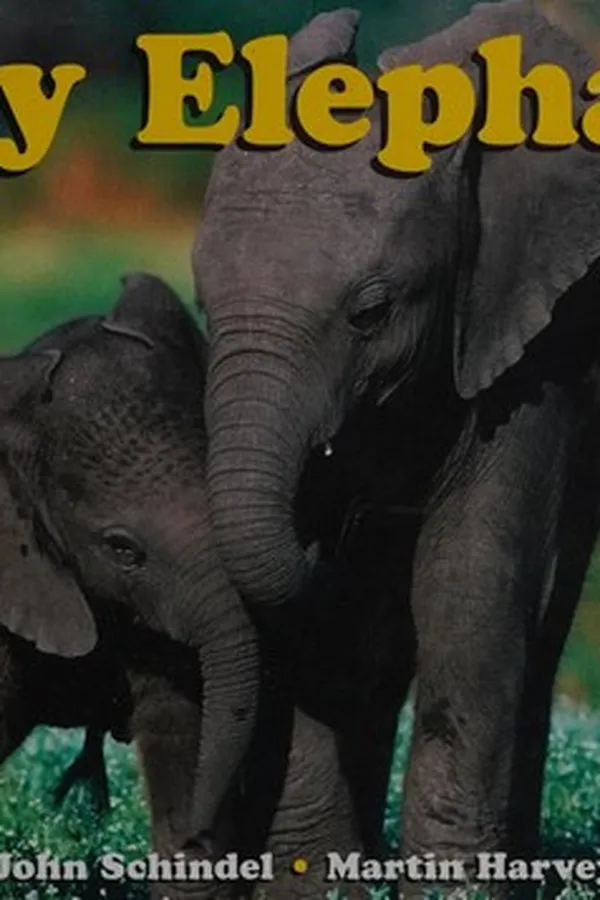 Capa de Busy elephants