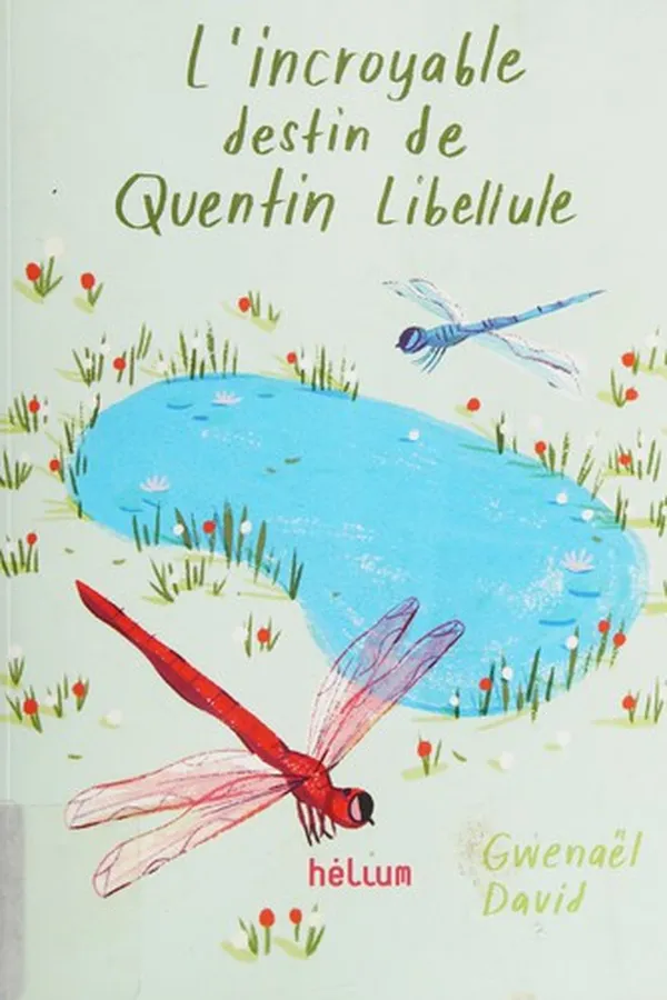 Capa de L'incroyable destin de Quentin Libellule
