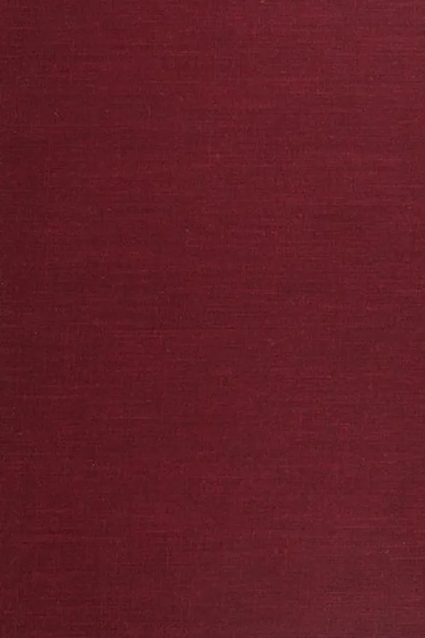 Capa de Tendencies and tensions of the information age