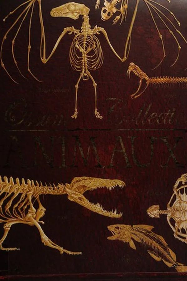 Capa de Animaux