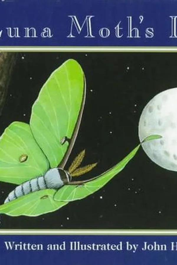 Capa de A Luna Moth’s Life