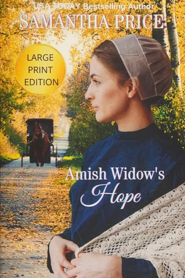 Capa de Amish widow's hope