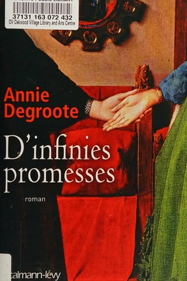 Capa de D' infinies promesses