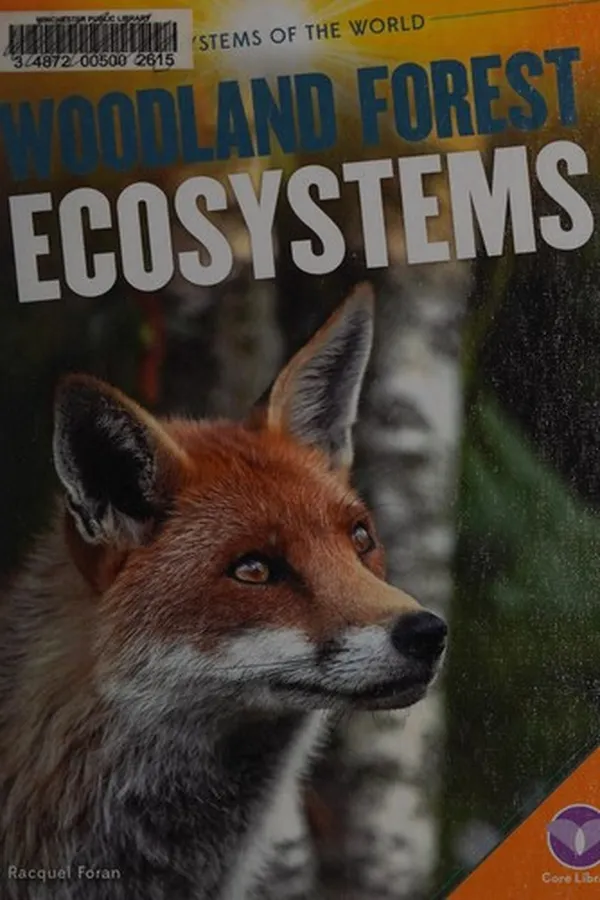 Capa de Woodland forest ecosystems