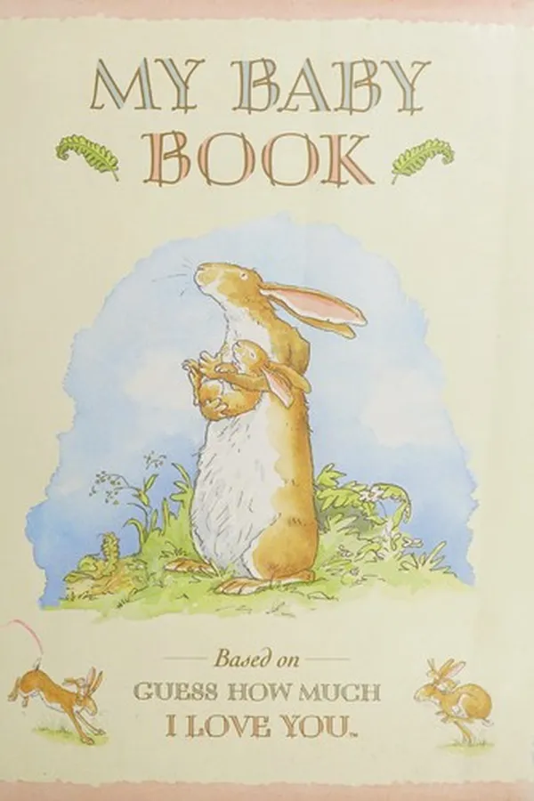 Capa de Baby book