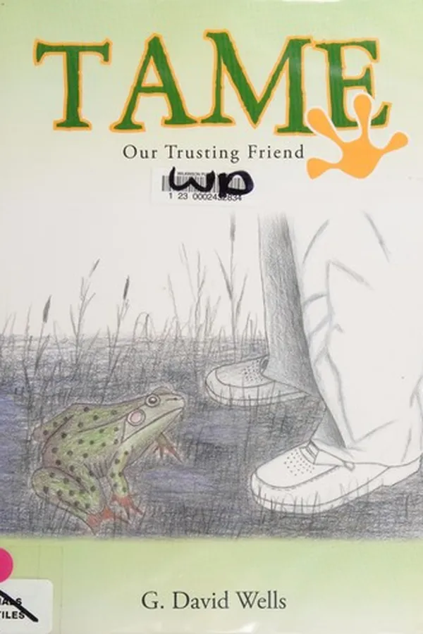 Capa de TAME