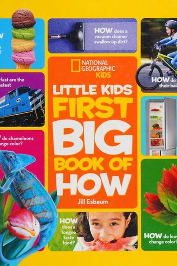 Capa de First big book of how