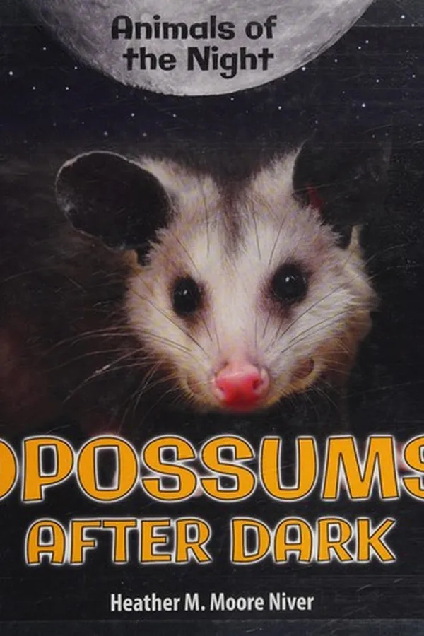 Capa de Opossums after dark