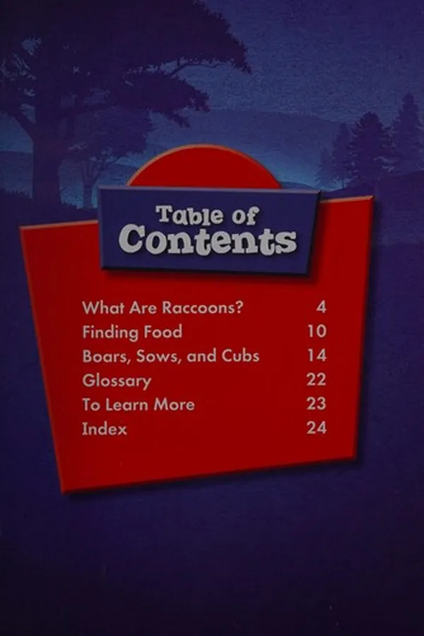 Capa de Raccoons