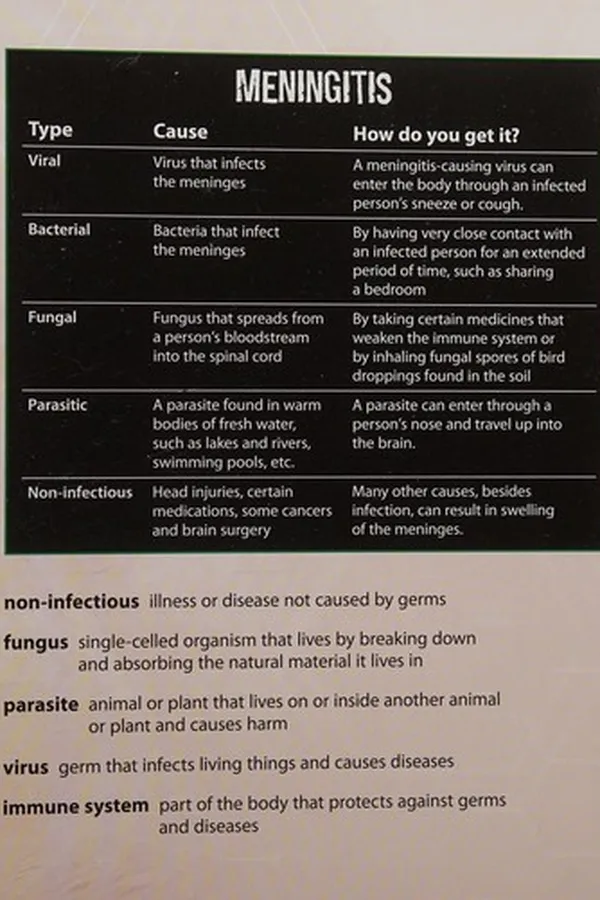 Cover of What you need to know about meningitis