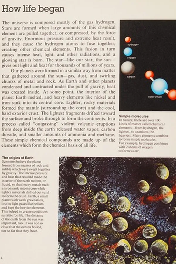 Capa de A closer look at the dawn of life