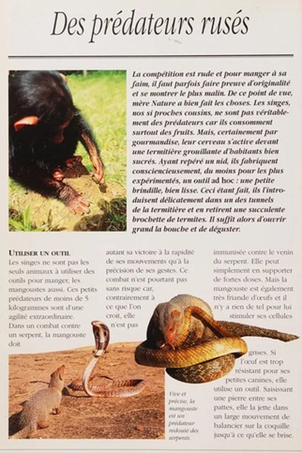 Cover of Proies et prédateurs