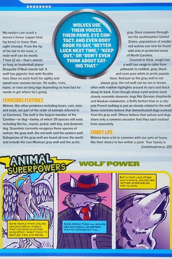 Capa de Wolf rescue