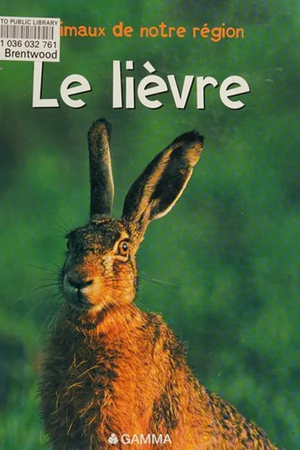 Cover of Le lièvre