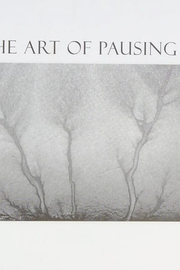 Capa de The art of pausing