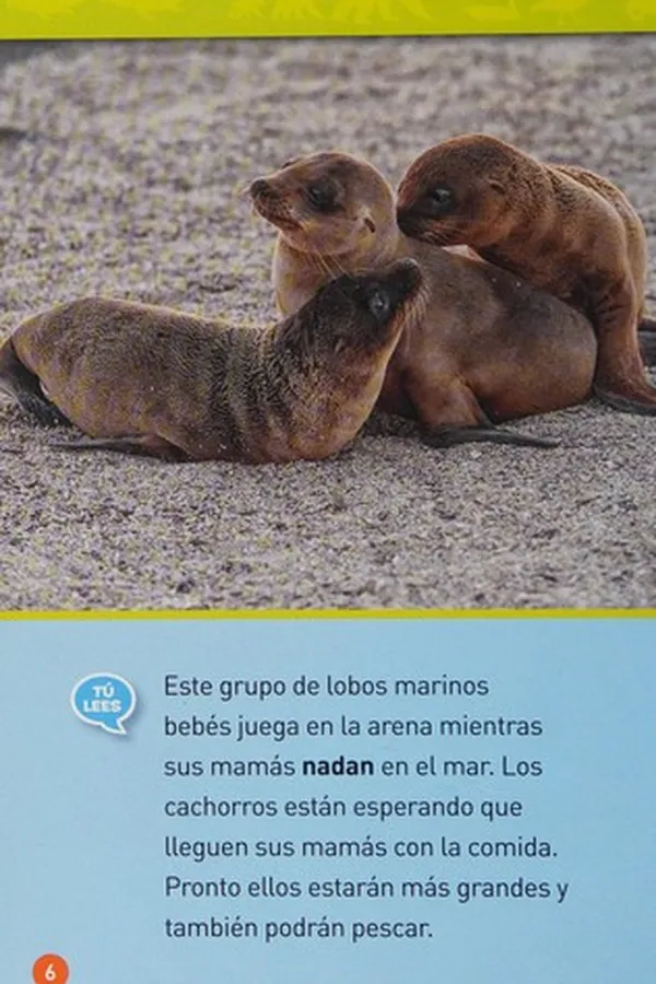 Capa de ¡Sígueme!