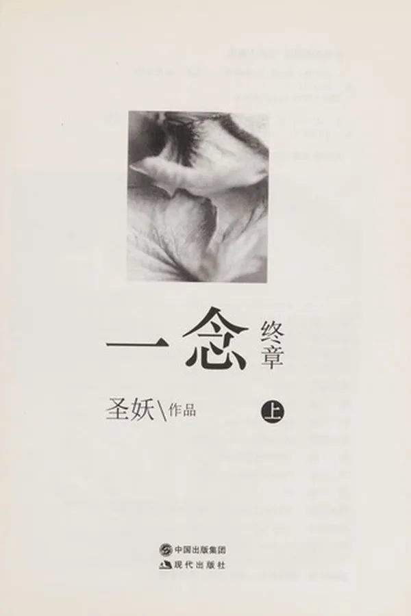 Capa de Yi nian zhong zhang
