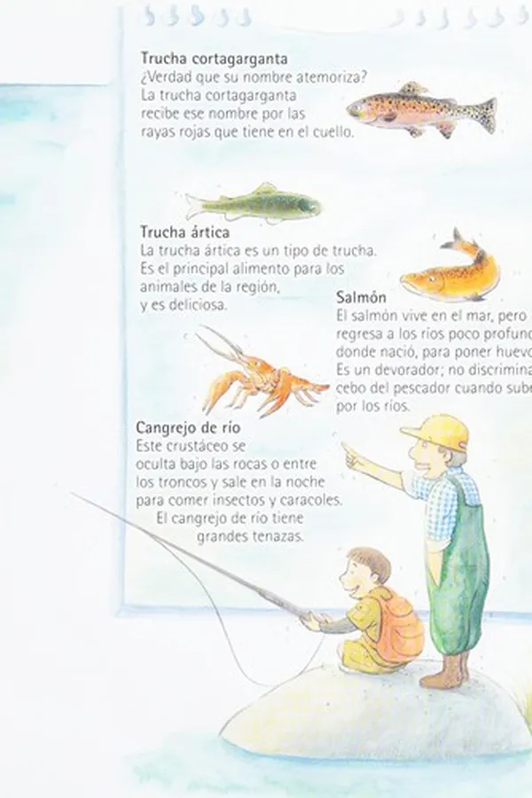 Capa de Mi investigación