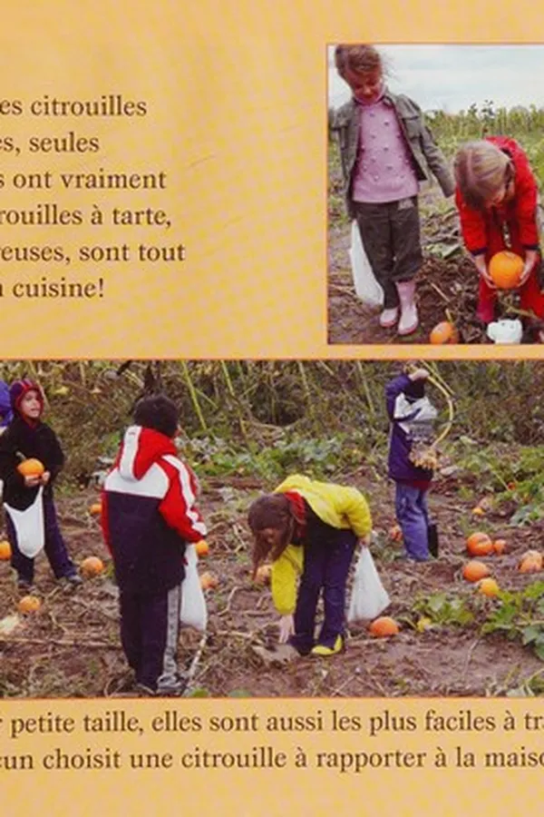 Capa de Allons aux citrouilles!
