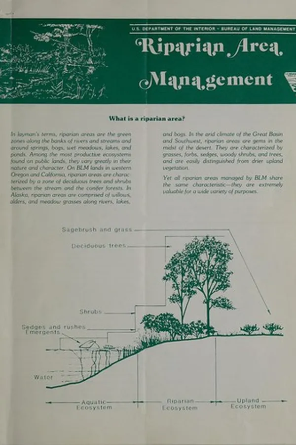 Capa de Riparian area management / U.S. Department of the Interior, Bureau of Land Management