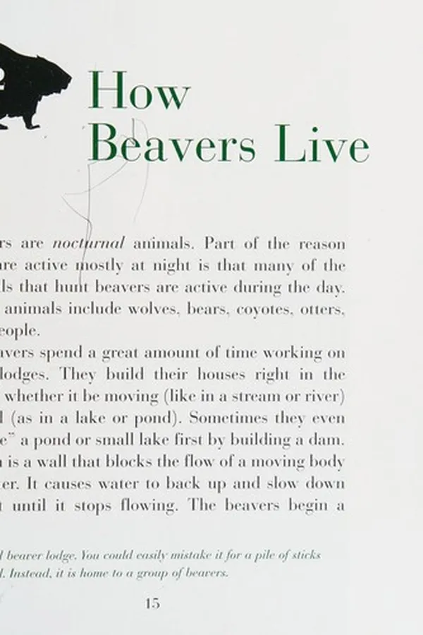 Capa de Beavers