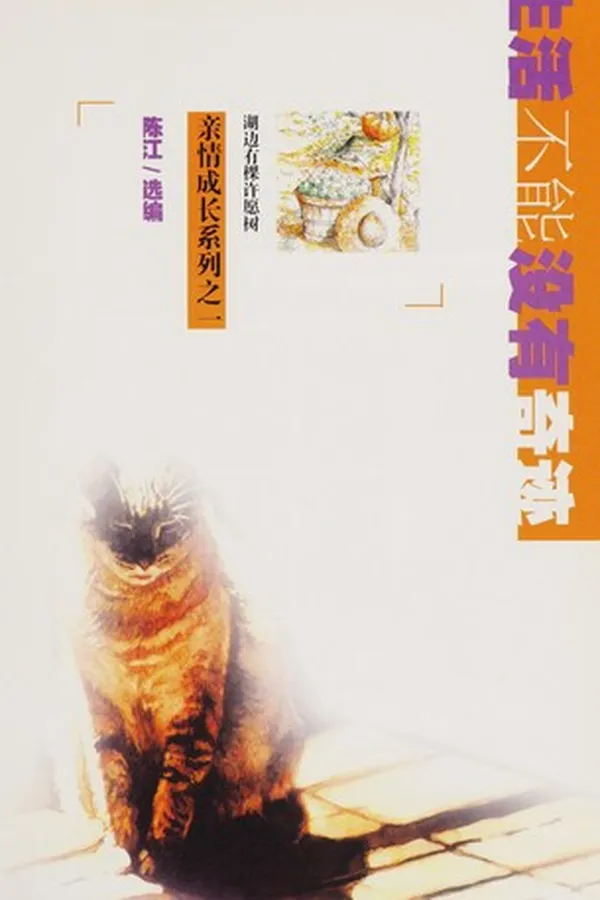 Capa de Sheng huo bu neng mei you qi ji
