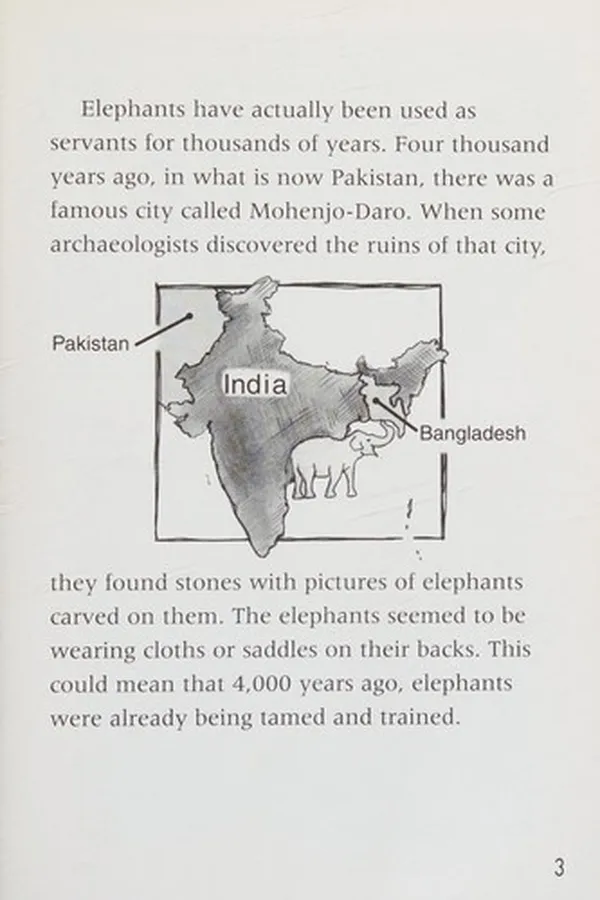 Cover of The raja's elephants