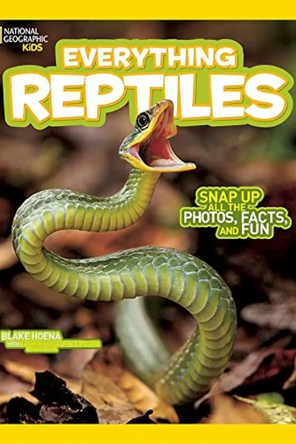 Capa de Everything reptiles