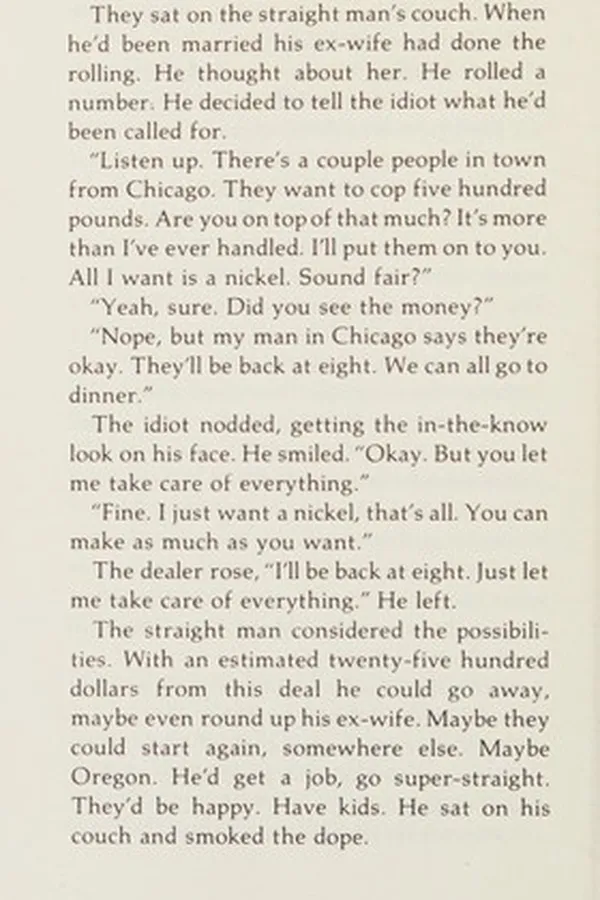 Capa de The straight man