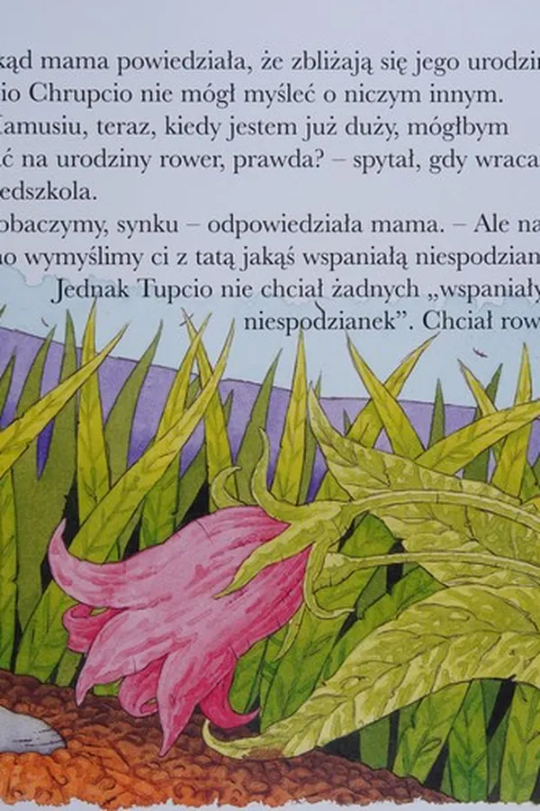 Capa de Urodzinowy prezent