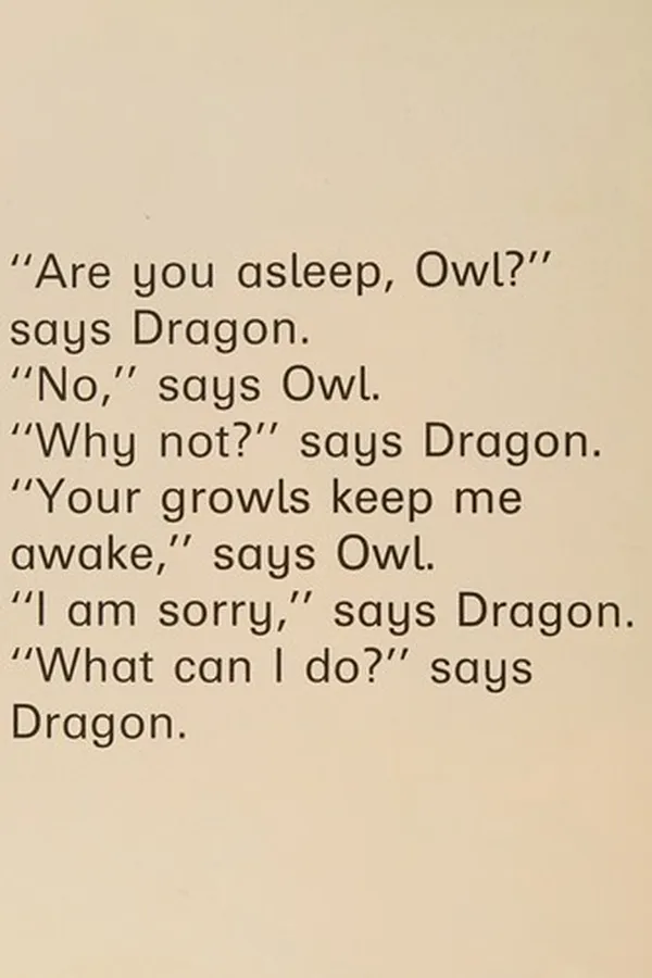 Capa de Dragon and sleepy owl