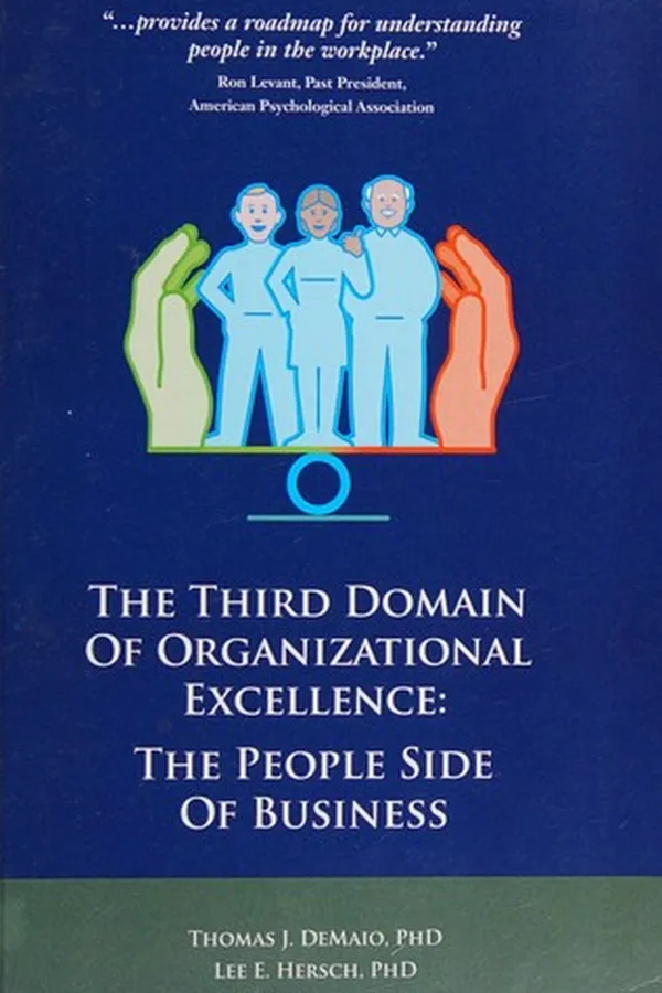 Capa de The third domain of organizational excellence