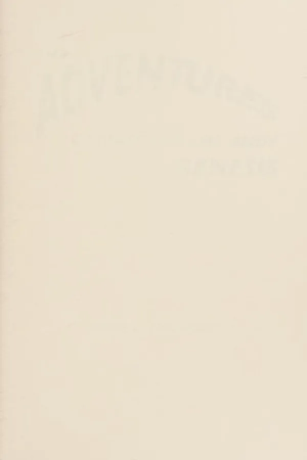 Capa de The adventures of Matthew and Andy