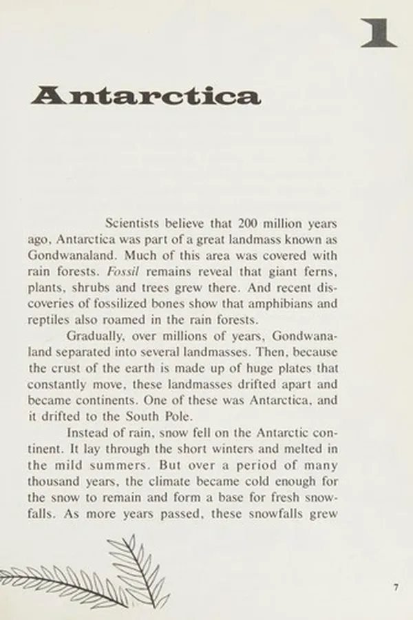 Capa de Wildlife in the Antarctic