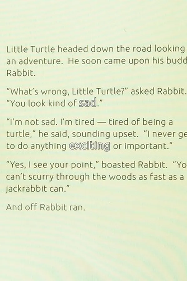 Capa de The tired little turtle